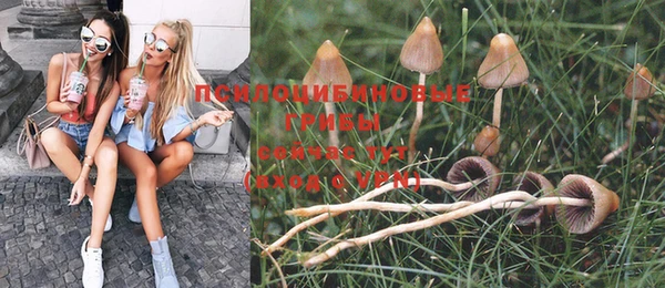 кокс Пересвет
