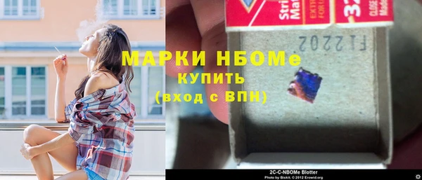 индика Пестово