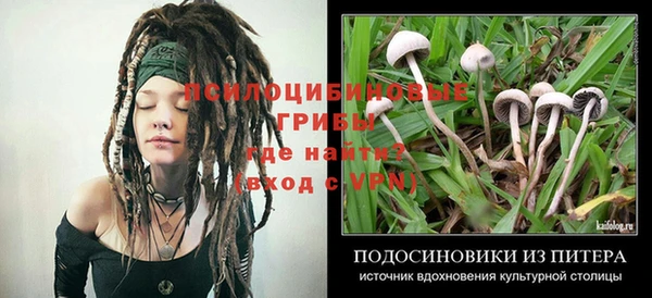 эйфоретик Абаза