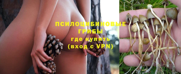 ГАЛЛЮЦИНОГЕННЫЕ ГРИБЫ Переславль-Залесский