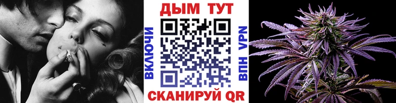 Бошки Шишки MAZAR  Алейск 